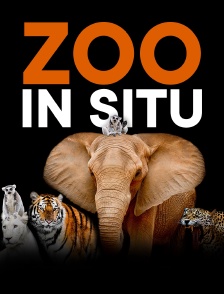 Zoo in situ