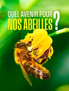 Quel avenir pour nos abeilles ?