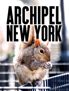 Archipel New York