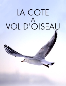 La côte à vol d'oiseau