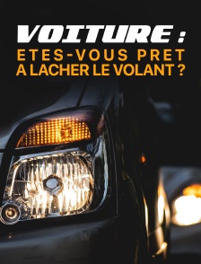 Voiture : êtes-vous prêt à lâcher le volant ?