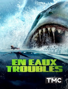 En eaux troubles