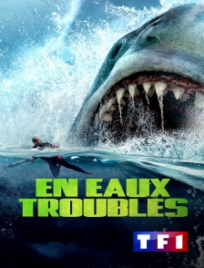 TF1 - En eaux troubles