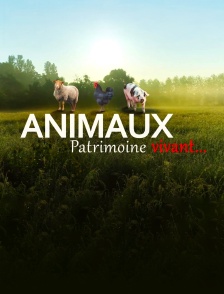 Animaux, patrimoine oublié !
