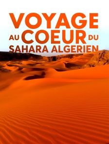 Voyage au coeur du Sahara algérien