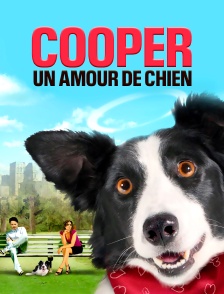 Cooper, un amour de chien