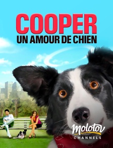 Molotov channels - Cooper, un amour de chien