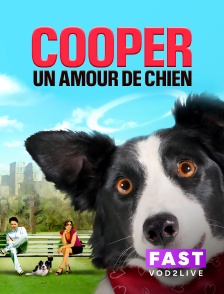 Molotov Channels TEST FAST - Cooper, un amour de chien