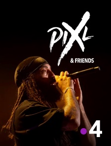 France 4 - Pix'l & Friends