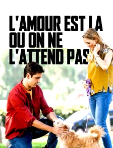 L'amour est là où on ne l'attend pas