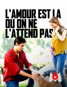 L'amour est là où on ne l'attend pas