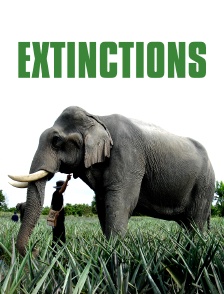 Extinctions