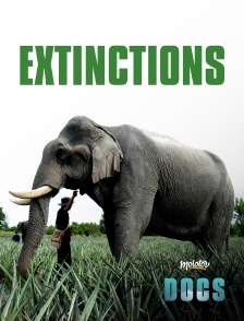 Extinctions