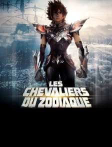 Saint Seiya - Les chevaliers du Zodiaque : la légende du sanctuaire