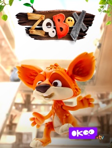 Okoo - Zoobox