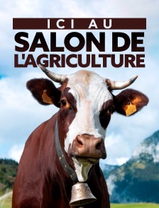 Ici au Salon de l'agriculture
