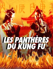 Les panthères du kung-fu