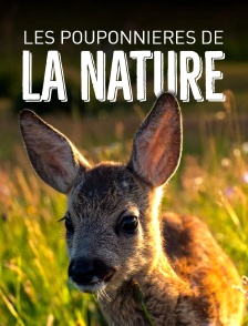 Les pouponnières de la nature