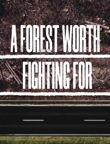 A Forest Worth Fighting For