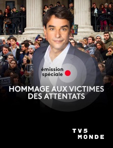 TV5MONDE - Hommage aux victimes des attentats de 2015