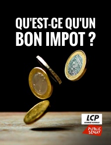 LCP Public Sénat - Qu'est-ce qu'un bon impôt ?