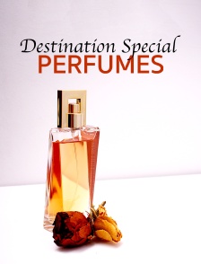 Destination Special : Perfumes