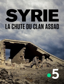 France 5 - Syrie : la chute du clan Assad en replay