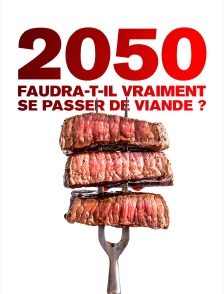 2050 : faudra-t-il vraiment se passer de viande ?