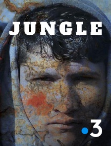 Jungle