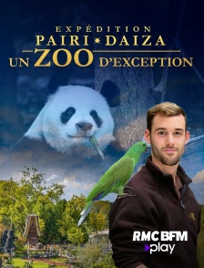 RMC BFM Play - Expédition Pairi Daiza : un zoo d'exception