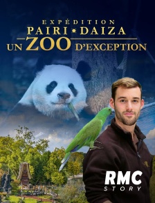 RMC Story - Expédition Pairi Daiza : un zoo d'exception en replay