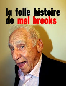 La folle histoire de Mel Brooks