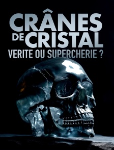 Crânes de cristal : vérité ou supercherie ?