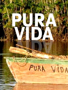 Pura Vida