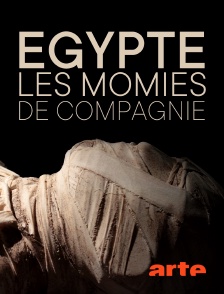 Égypte : les momies de compagnie