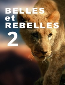 Belles et rebelles 2