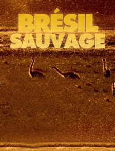 Brésil sauvage