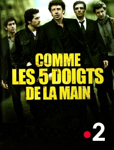 Comme les 5 doigts de la main