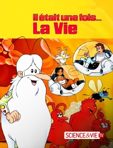 Science et Vie TV - Il était une fois... la vie