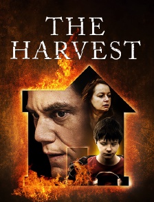 The Harvest