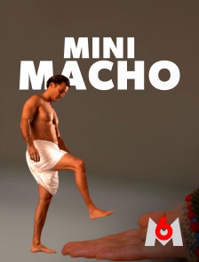 M6 - Mini macho