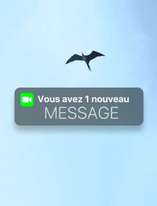 Vous avez un nouveau message