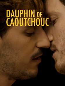 Dauphin de caoutchouc