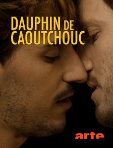 Dauphin de caoutchouc