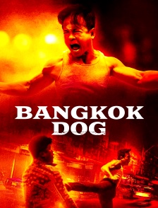 Bangkok Dog