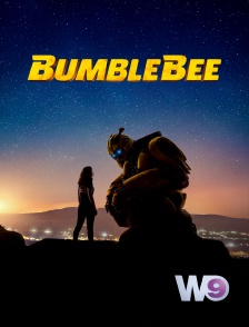 W9 - Bumblebee