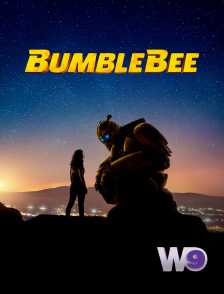 W9 - Bumblebee