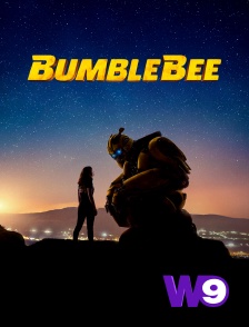 W9 - Bumblebee