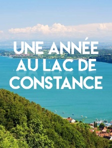 Une année au lac de Constance