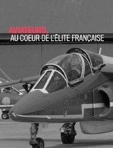 Aviateurs, au coeur de l'élite française